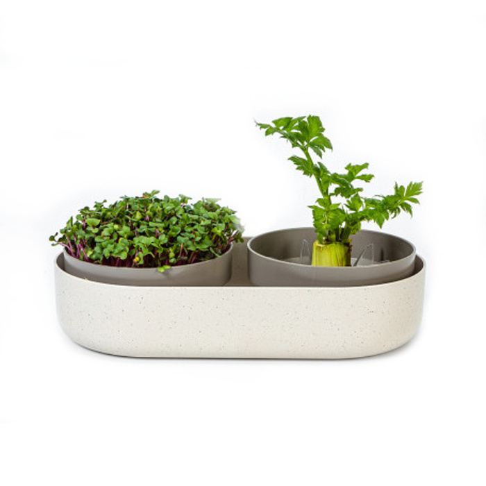 Klíčky - Miska na naklíčení MICROGREENS Regrow sl.kost s káv. sedlinou 30,5cm