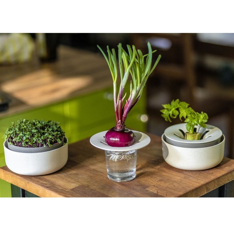 Miska na naklíčení MICROGREENS sl.kost 16cm-1