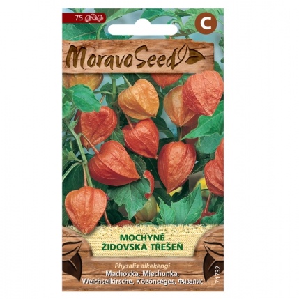 Osivo letniček - Mochyně oranžová (MS)