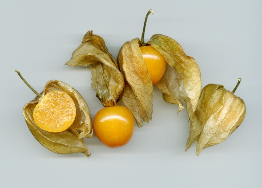 Mochyně peruánská BIO květináč 12cm-2