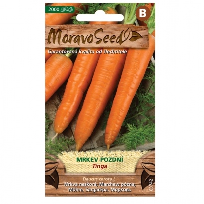 Osivo zeleniny - Mrkev pozdní TINGA (MS)