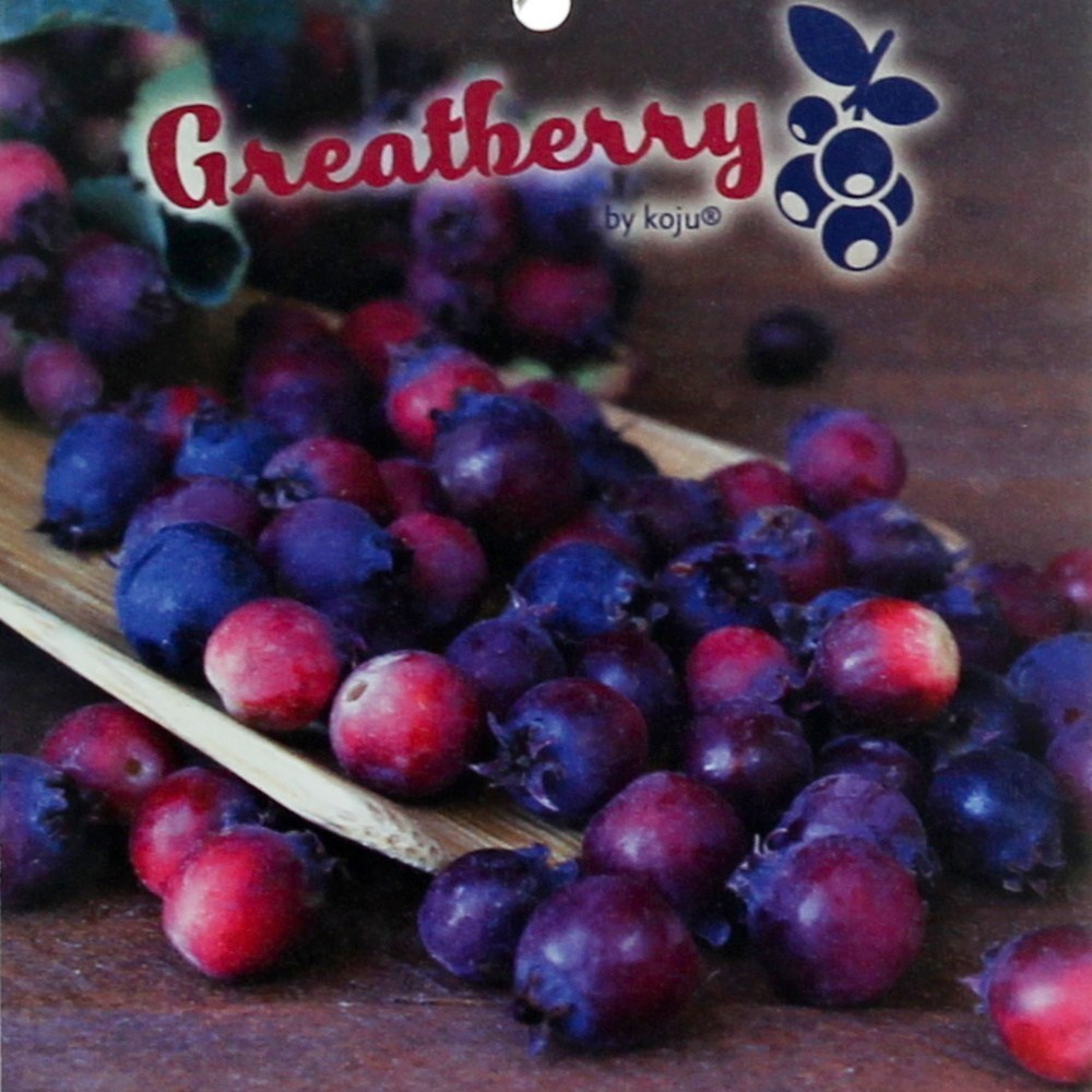 Muchovník olšolistý Greatberry Farm květinčá 5 litrů-0