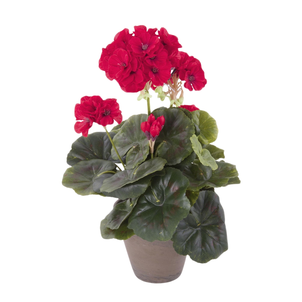 Umělé květiny v obalu - Muškát hrnkový umělý červený 34cm