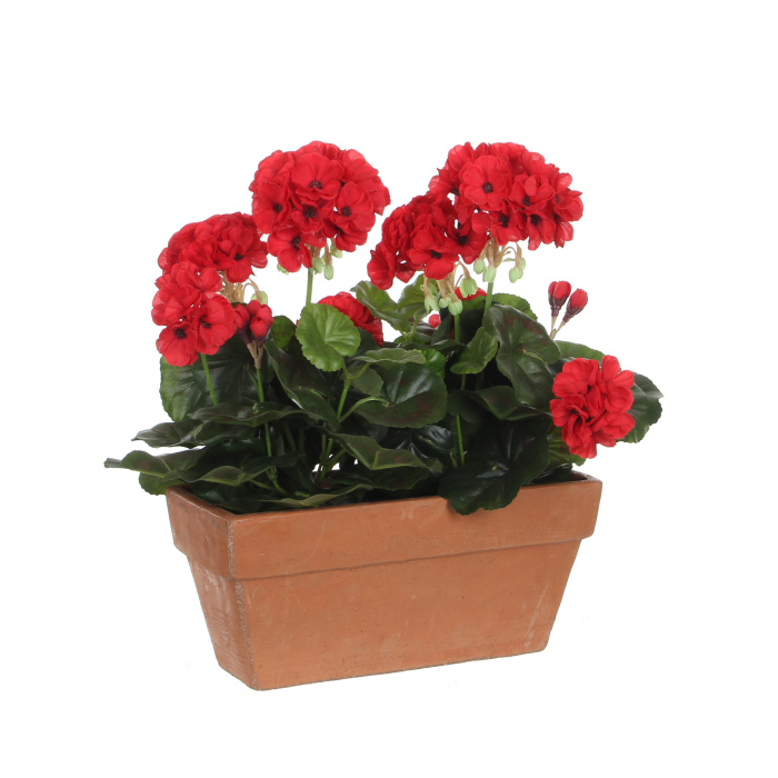 Umělé květiny v obalu - Muškát hrnkový umělý v truhlíku červený 40cx29cm