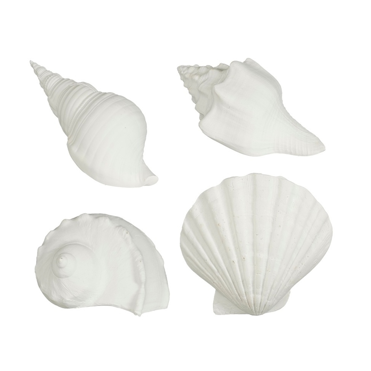 Keramické dekorace - Mušle polyresinová mix 14cm