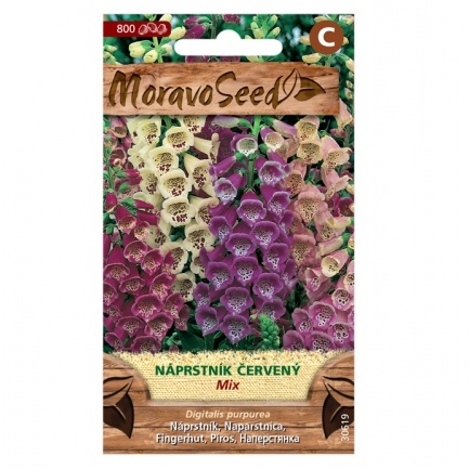 Osivo trvalek - Náprstník směs (MS)