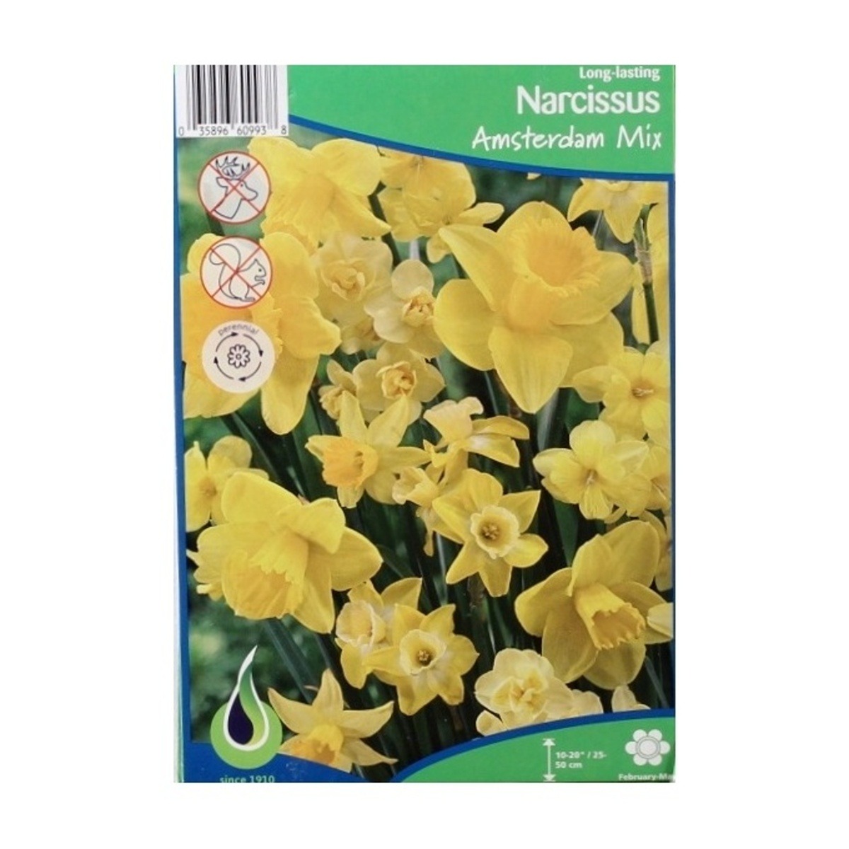 Cibuloviny - Narcis Amsterdam Mix 5ks