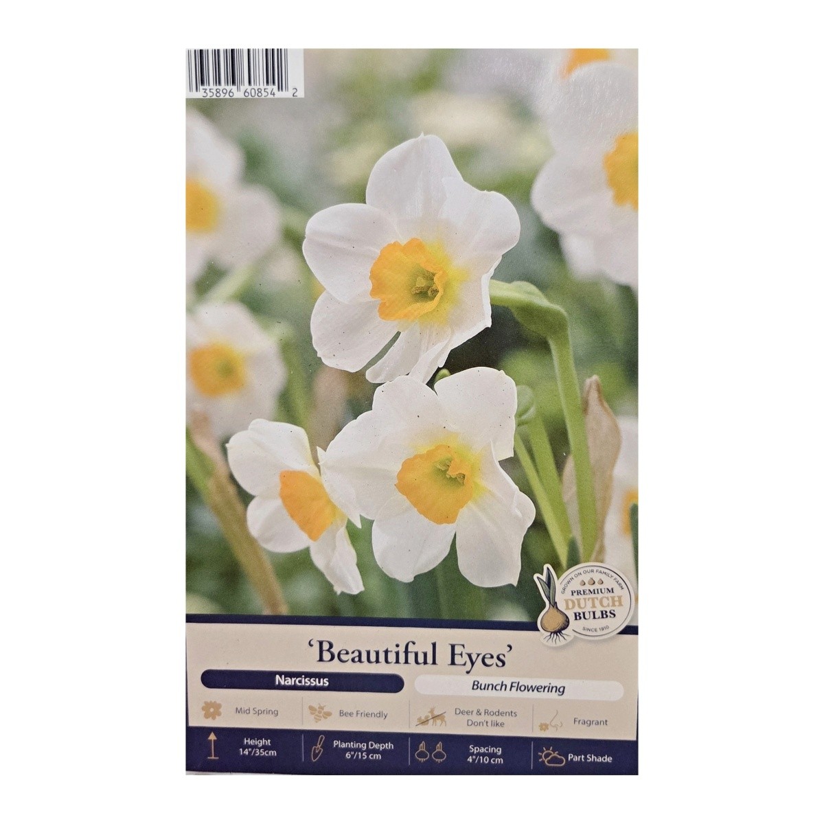 Narcisy - Narcis Beautiful Eyes 5ks