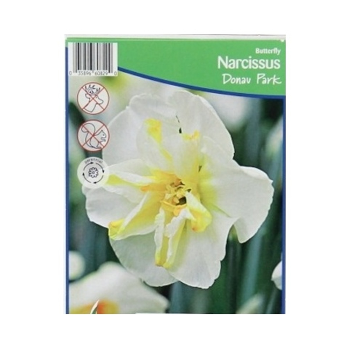 Cibuloviny - Narcis Donau Park 5ks