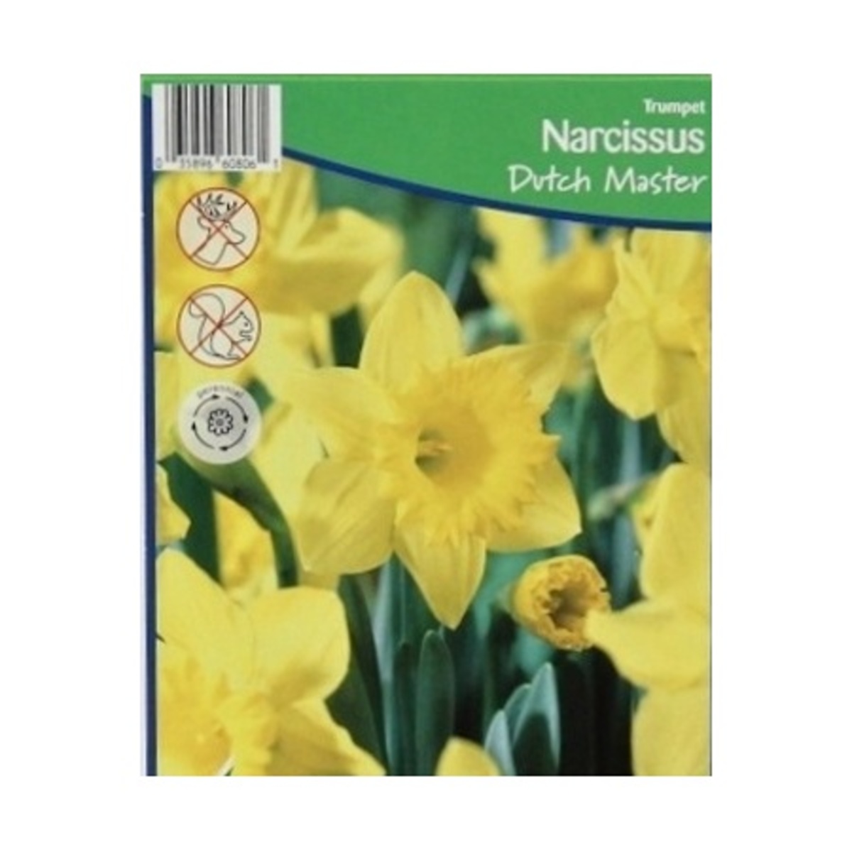 Cibuloviny - Narcis Duch Master 5ks