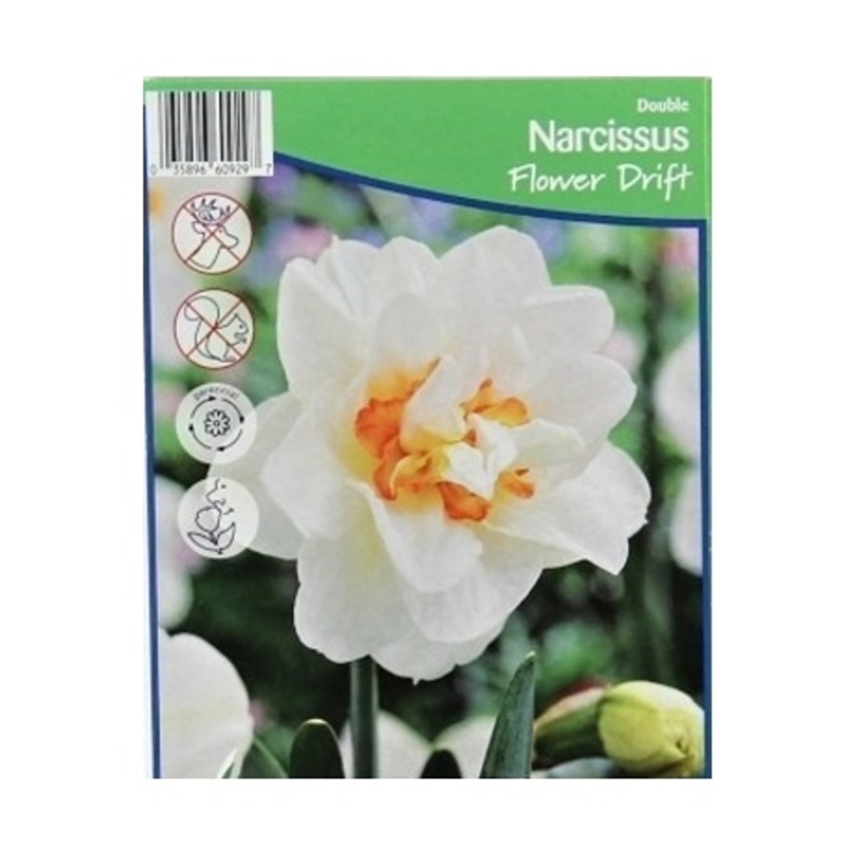 Cibuloviny - Narcis Flower Drift 5ks