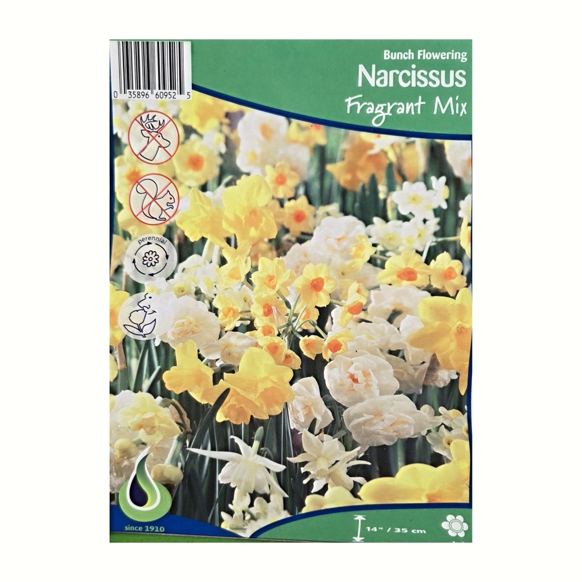 Narcisy - Narcis Fragrant Mix 5ks