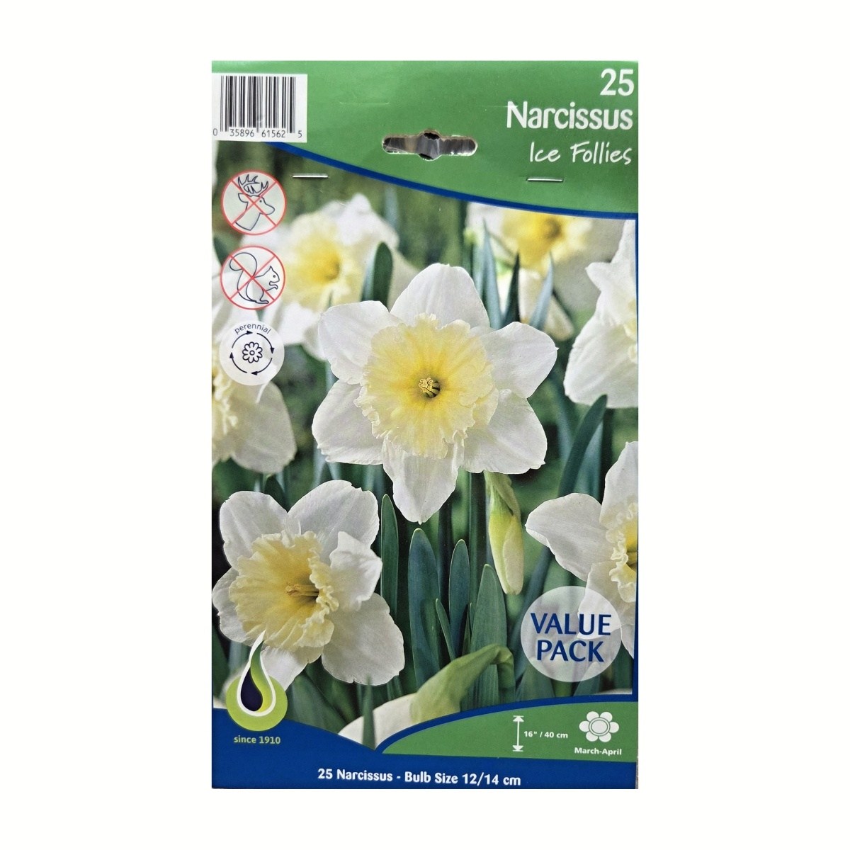 Narcisy - Narcis Ice Follies 25ks
