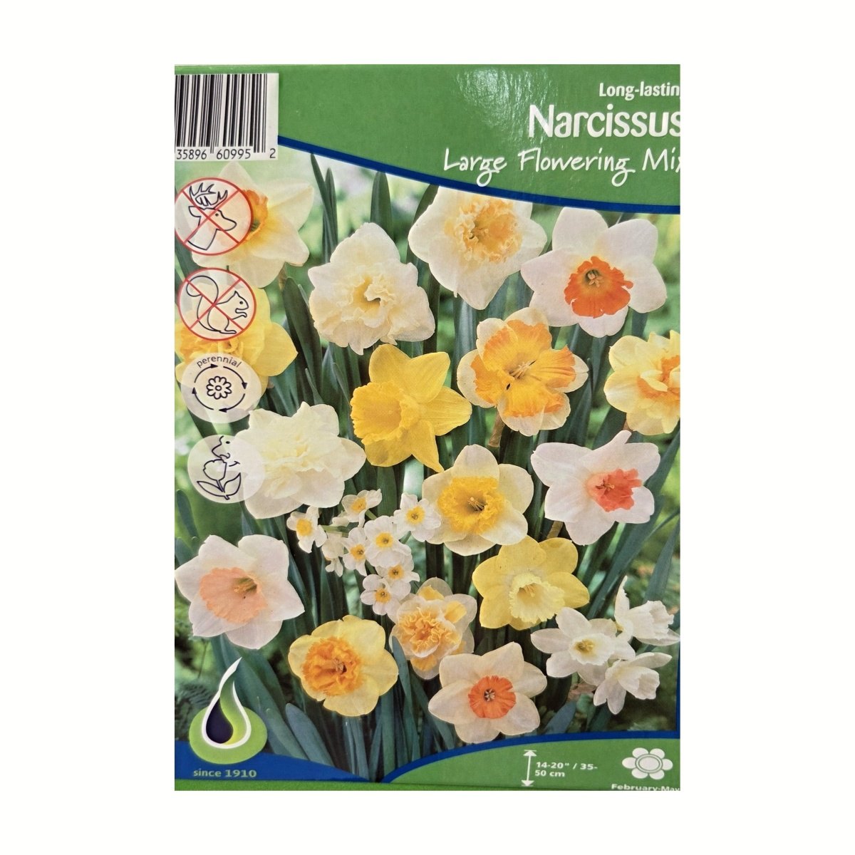 Narcisy - Narcis Large Flowering Mix 5ks