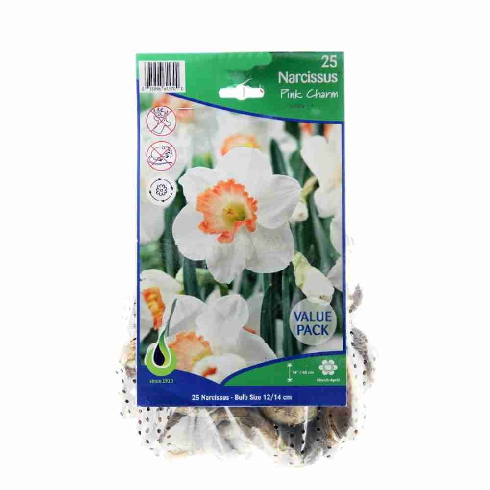 Rostliny - Narcis Pink Charm mix 25ks