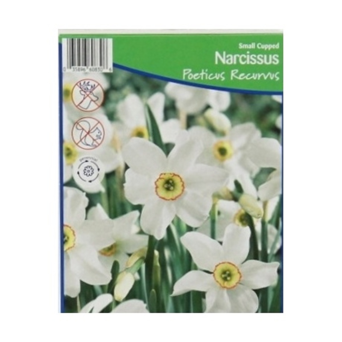 Cibuloviny - Narcis Poeticus Recurvus 5ks