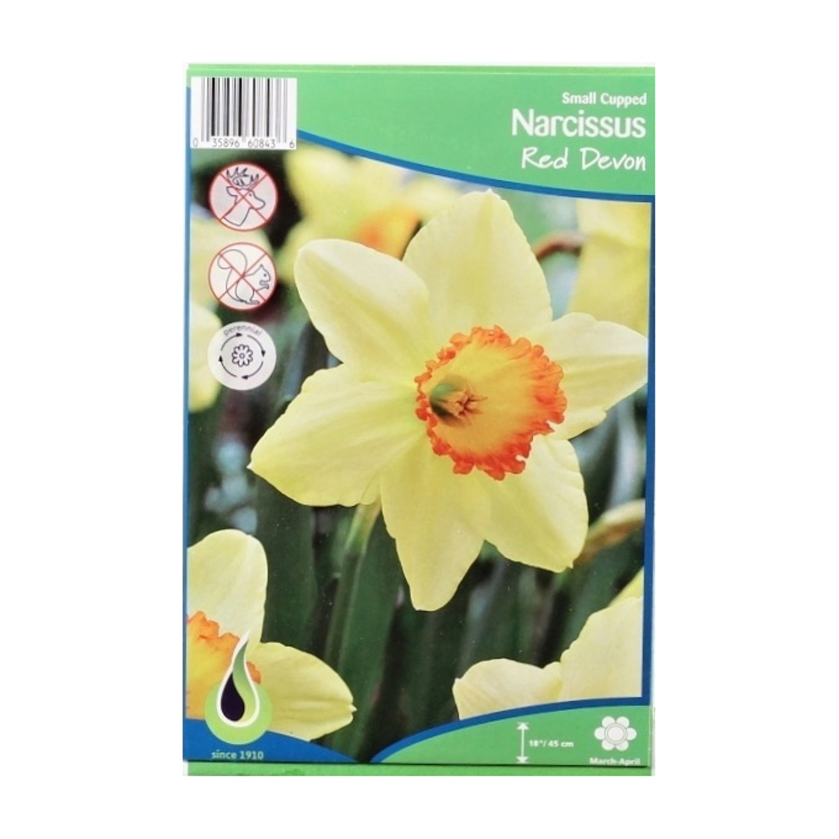 Cibuloviny - Narcis Red Devon 5ks