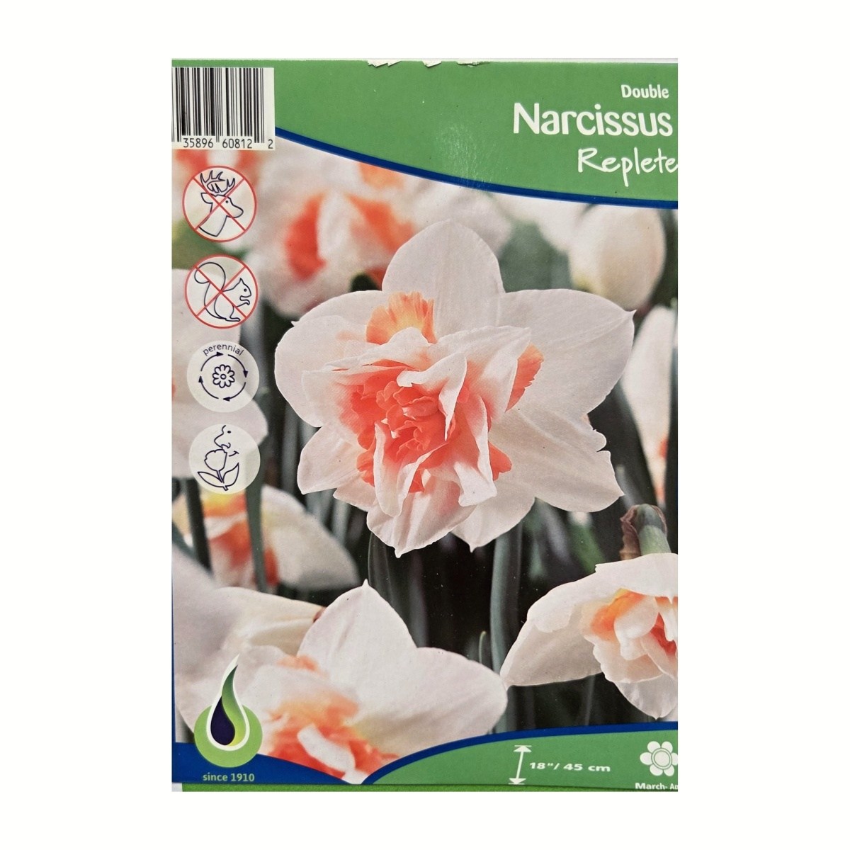 Cibuloviny - Narcis Replete 5ks