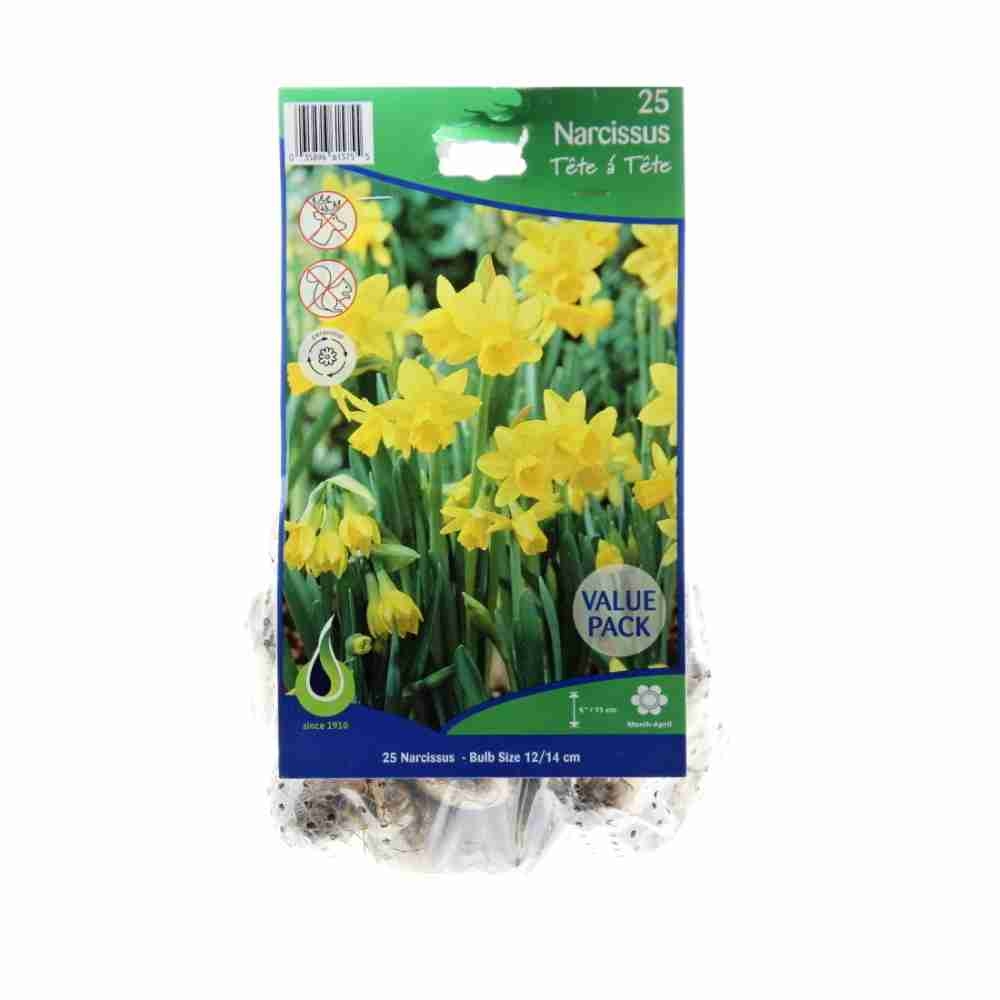 Rostliny - Narcis Tete a Tete 25ks