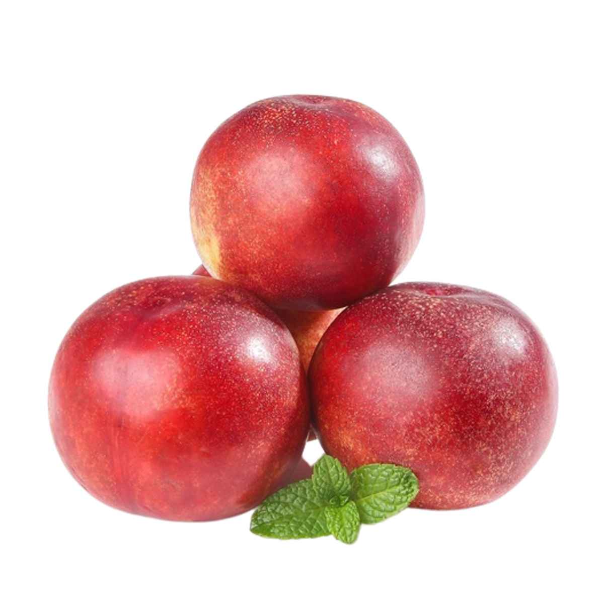 Nektarinky - Nektarinka Crimson Gold květináč 7,5 litru
