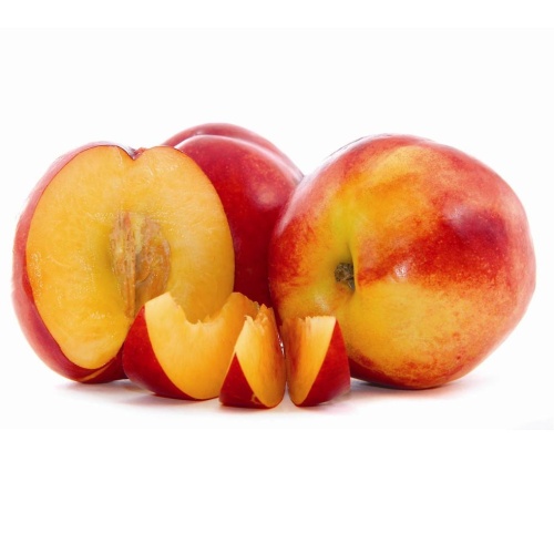 Nektarinky - Nektarinka Harblaze květináč 7,5 litru, čtvrtkmen, SAMOSPRAŠNÁ