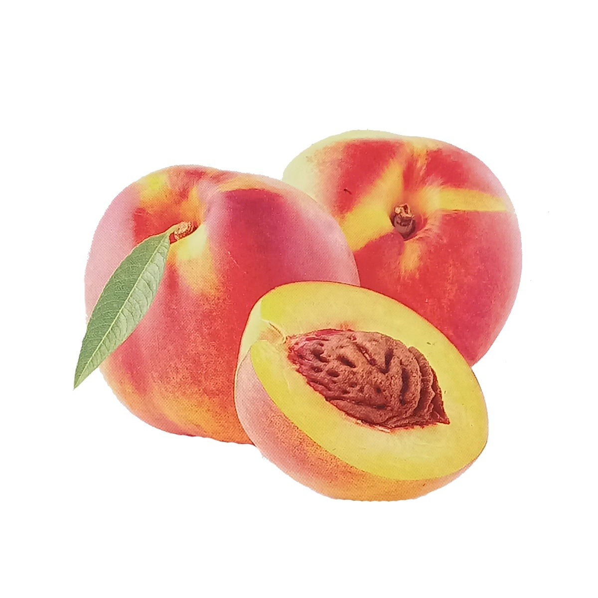 Balkonové ovocné stromky - Nektarinka Mini květináč 7,5 litru, zakrslá