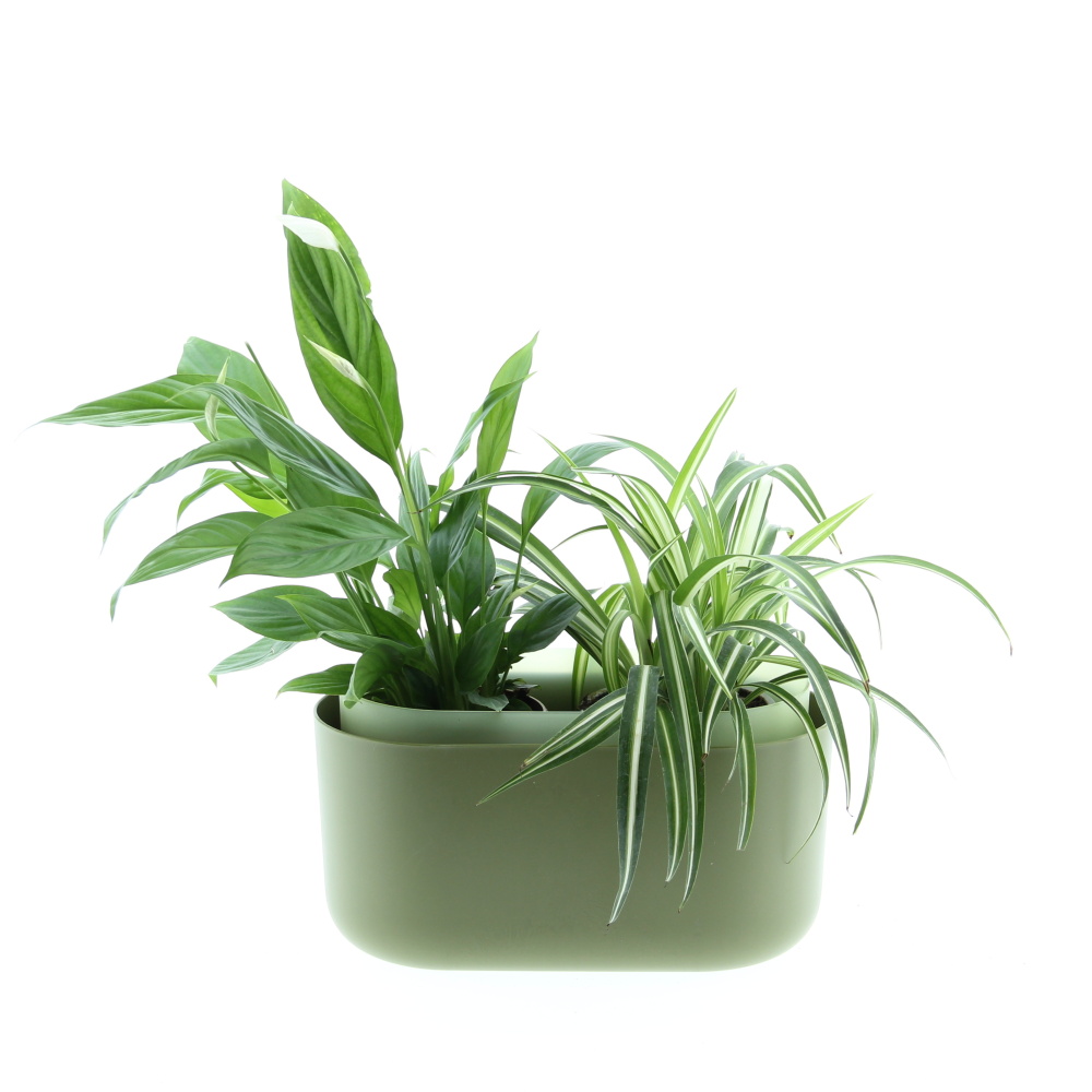 Nenáročná klasika truhlík Tolita 31cm-1