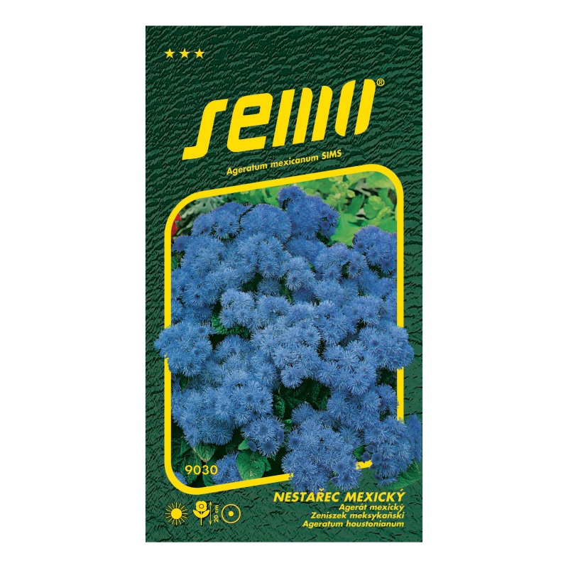 Nestařec mexický Tetra Blue Mink-0