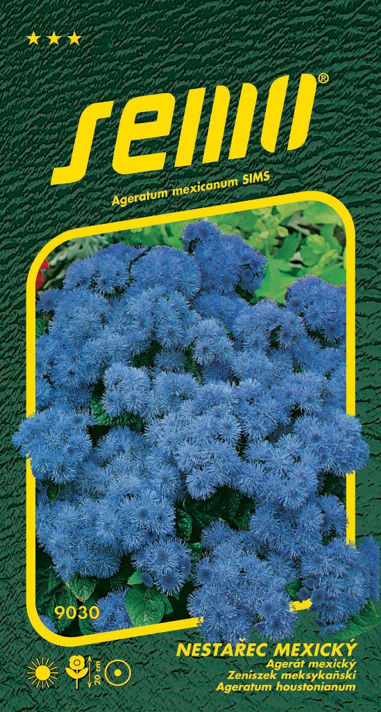 Osivo letniček - Nestařec mexický Tetra Blue Mink