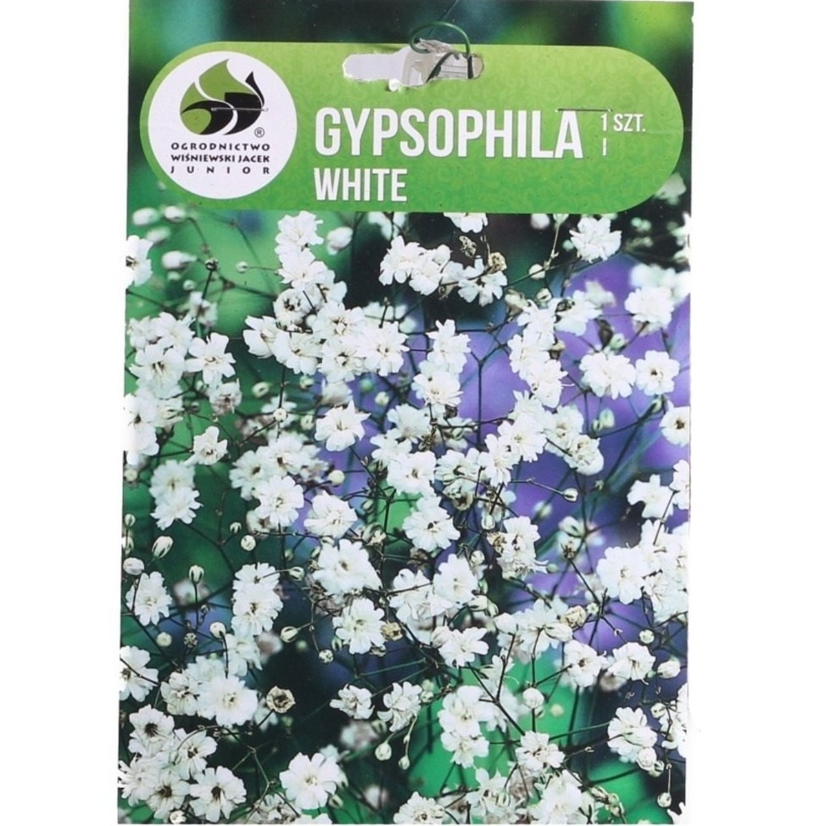 Ostatní jarní cibuloviny - Nevěstin závoj, šater White 1ks