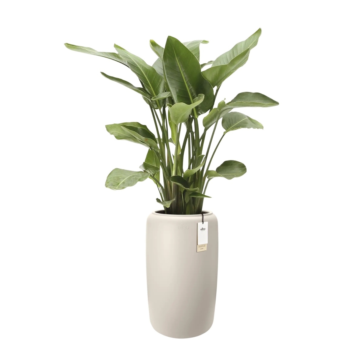 Obal Amber Beads Large bílý 66x39cm-0