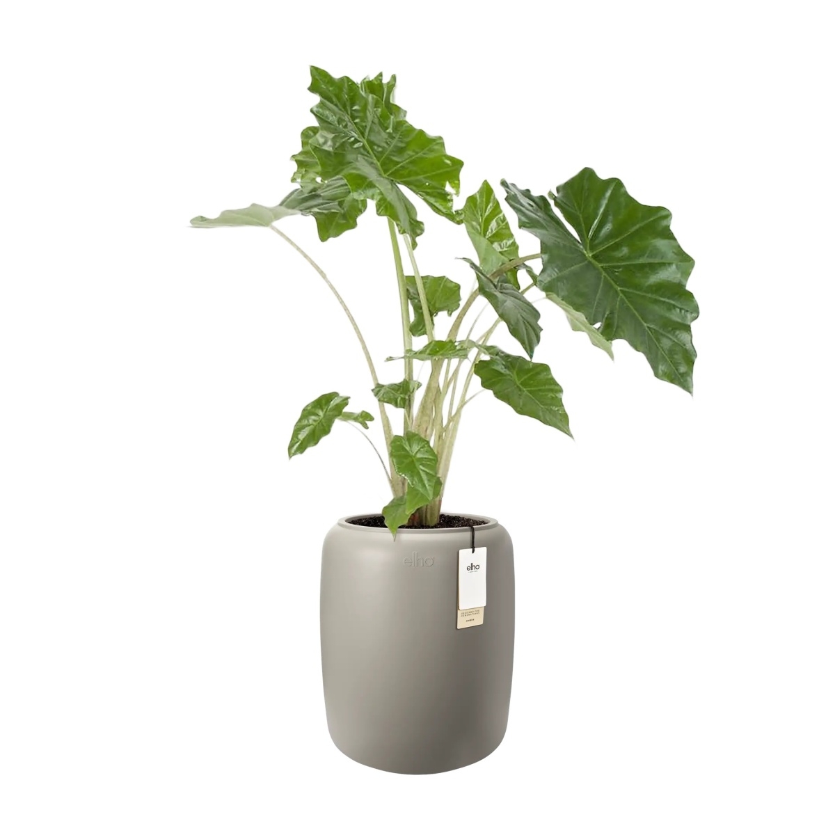 Obal ELHO Amber Beads Medium béžovo-šedý 48x39cm-0