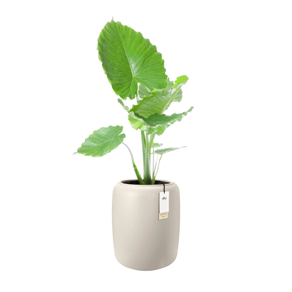 Obal ELHO Amber Beads Medium bílý 48x39cm-0