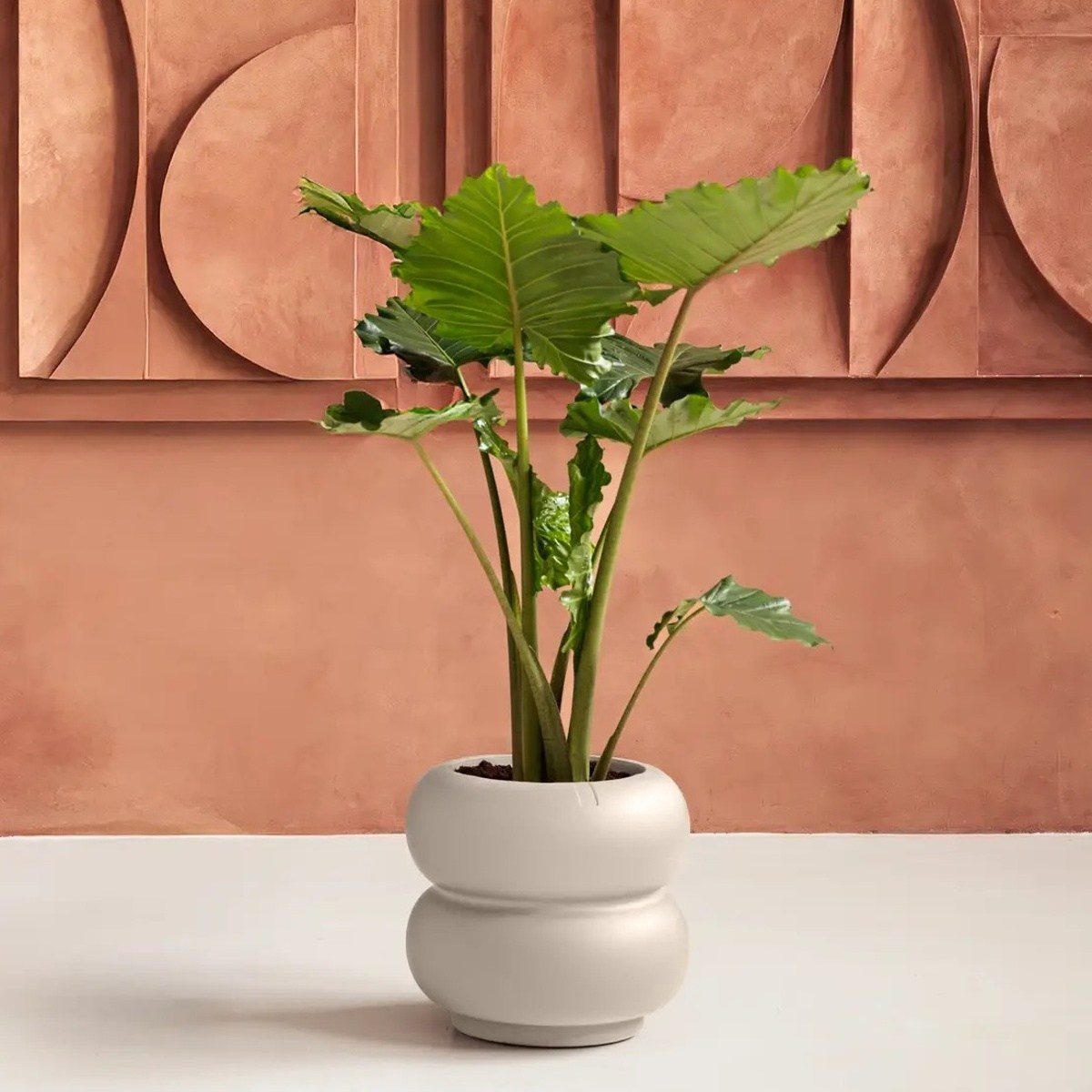 Obal ELHO Amber Roll Low béžovo-šedý 40x43cm-2