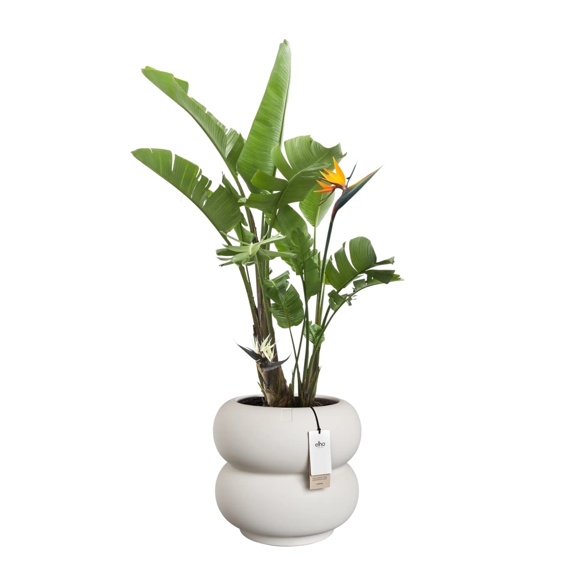 Obal ELHO Amber Roll Low bílý 40x43cm-1