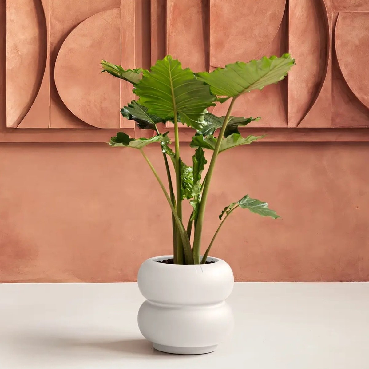 Obal ELHO Amber Roll Low bílý 40x43cm-2