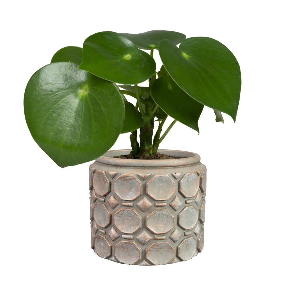 Obal kulatý betonový JURRE 19cm-0