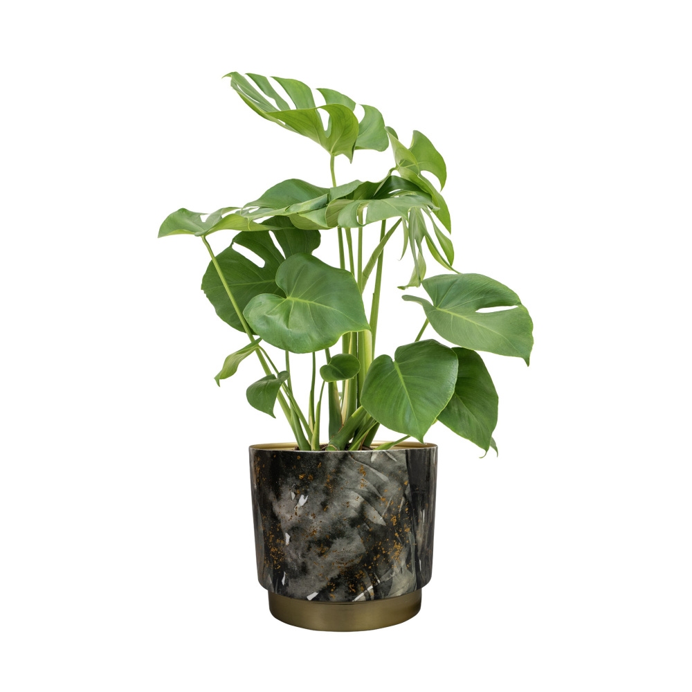 Obal kulatý CELIA kovový černo-zlatý 17cm-0