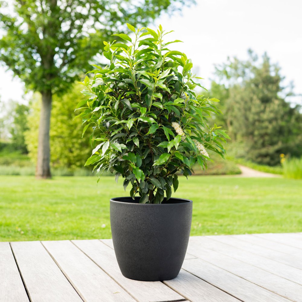 Obal kulatý kovový ALISA černý 39cm-0