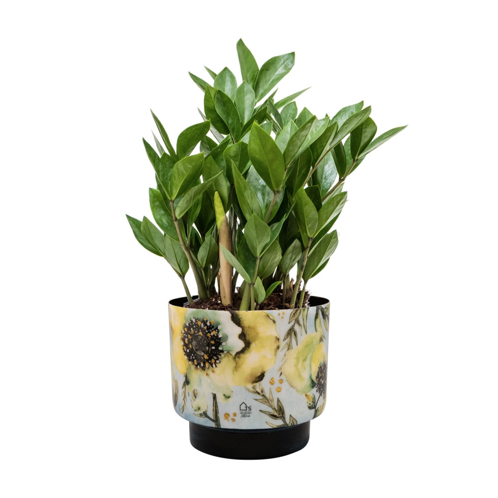 Obal kulatý kovový CAMELIA 22cm-0