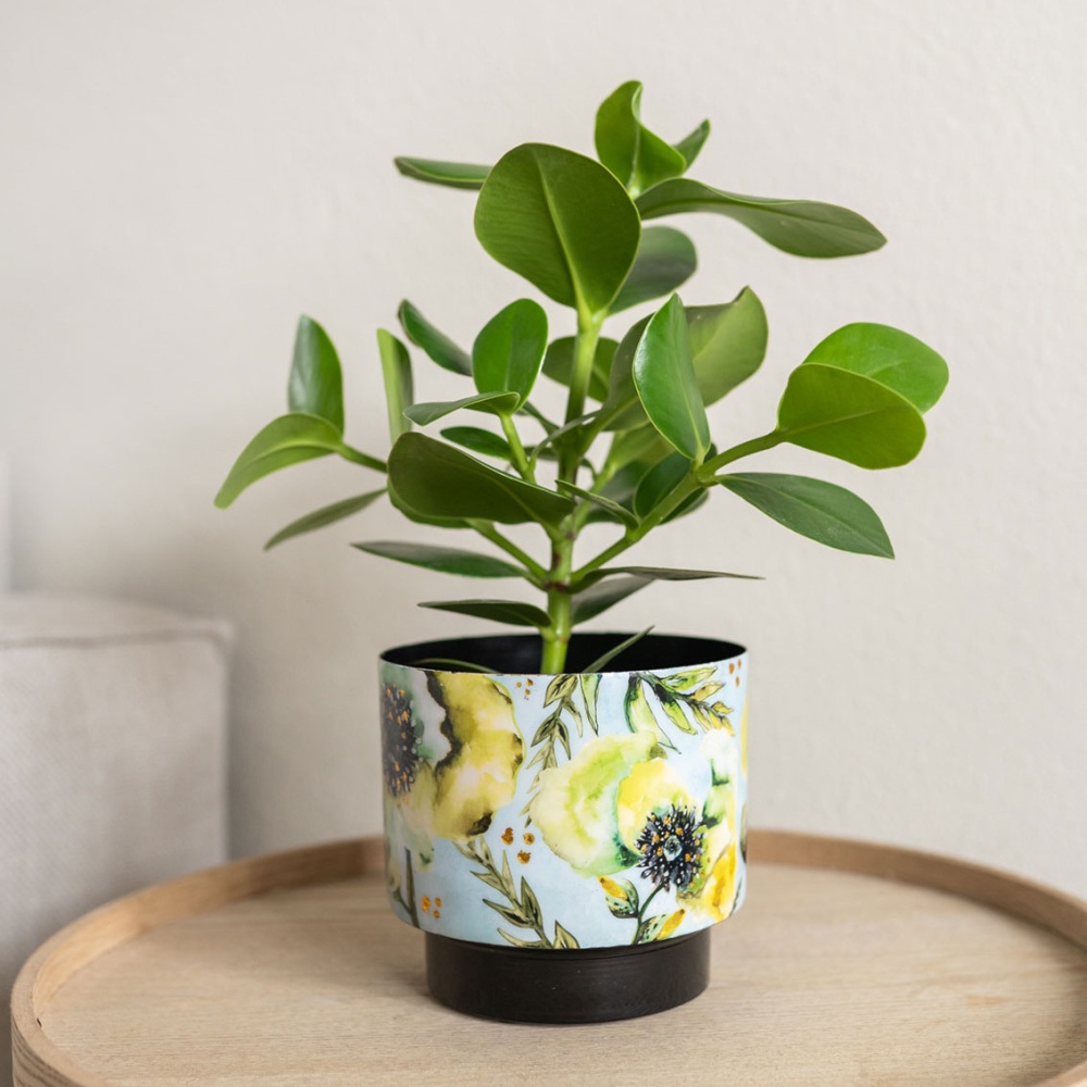 Obal kulatý kovový CAMELIA 22cm-1