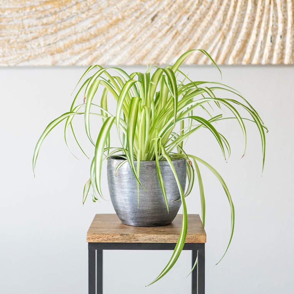 Obal kulatý ROWEN hliníkový stříbrný 17cm-0