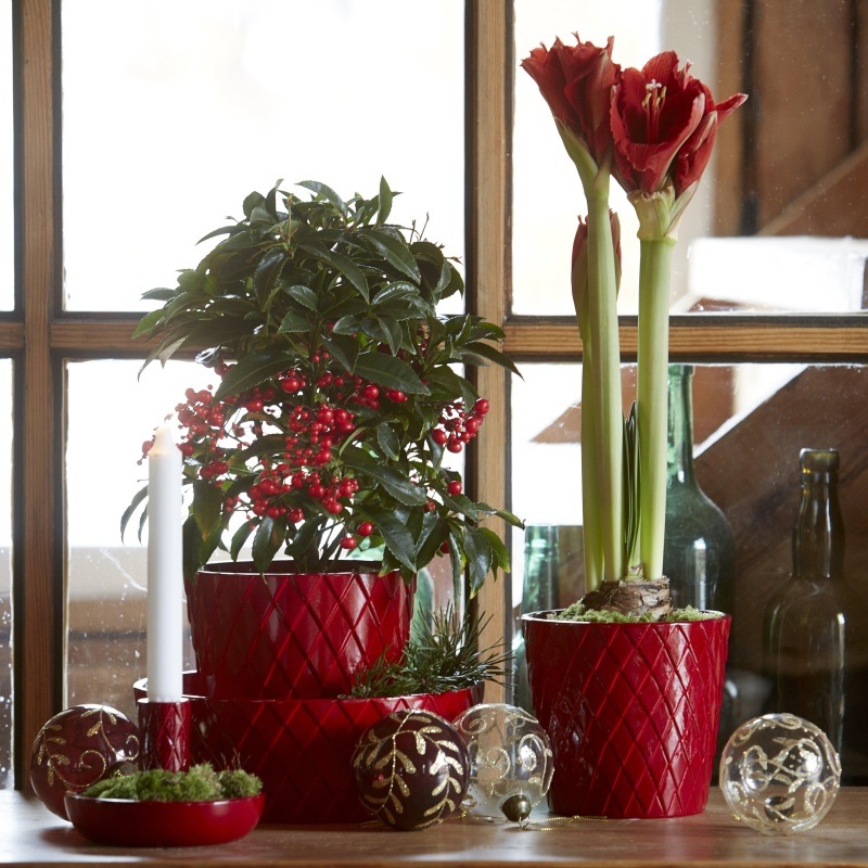 Obal mísa kulatá z dolomitu DIANA červená 20cm-0