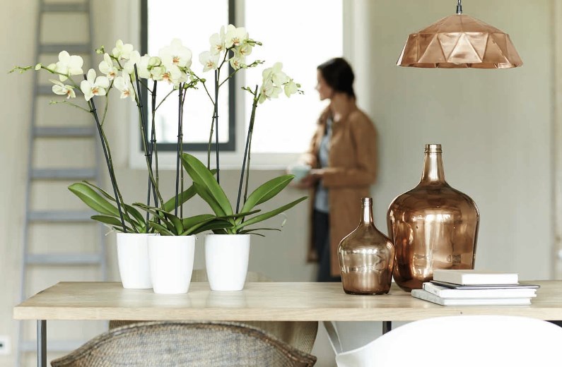 Obal na květináč Brussels Orchid High bílá ELHO-0