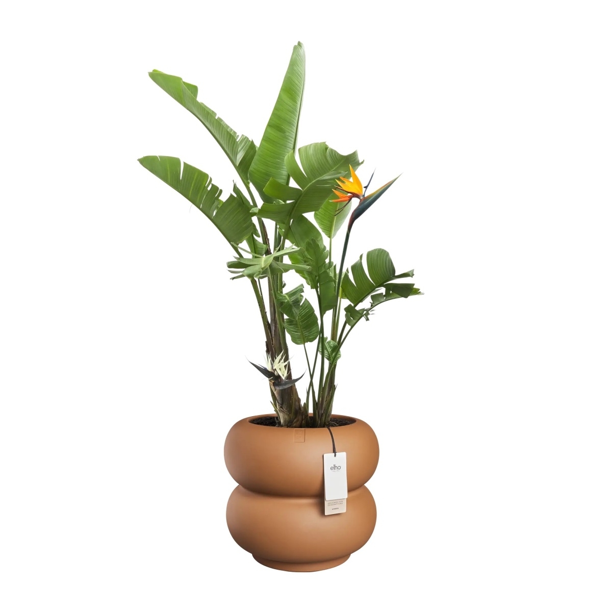 Obal na květináč ELHO Amber Roll Low terakotový 40x43cm-1