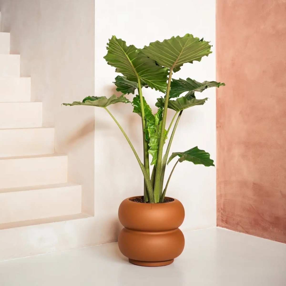 Obal na květináč ELHO Amber Roll Low terakotový 40x43cm-2