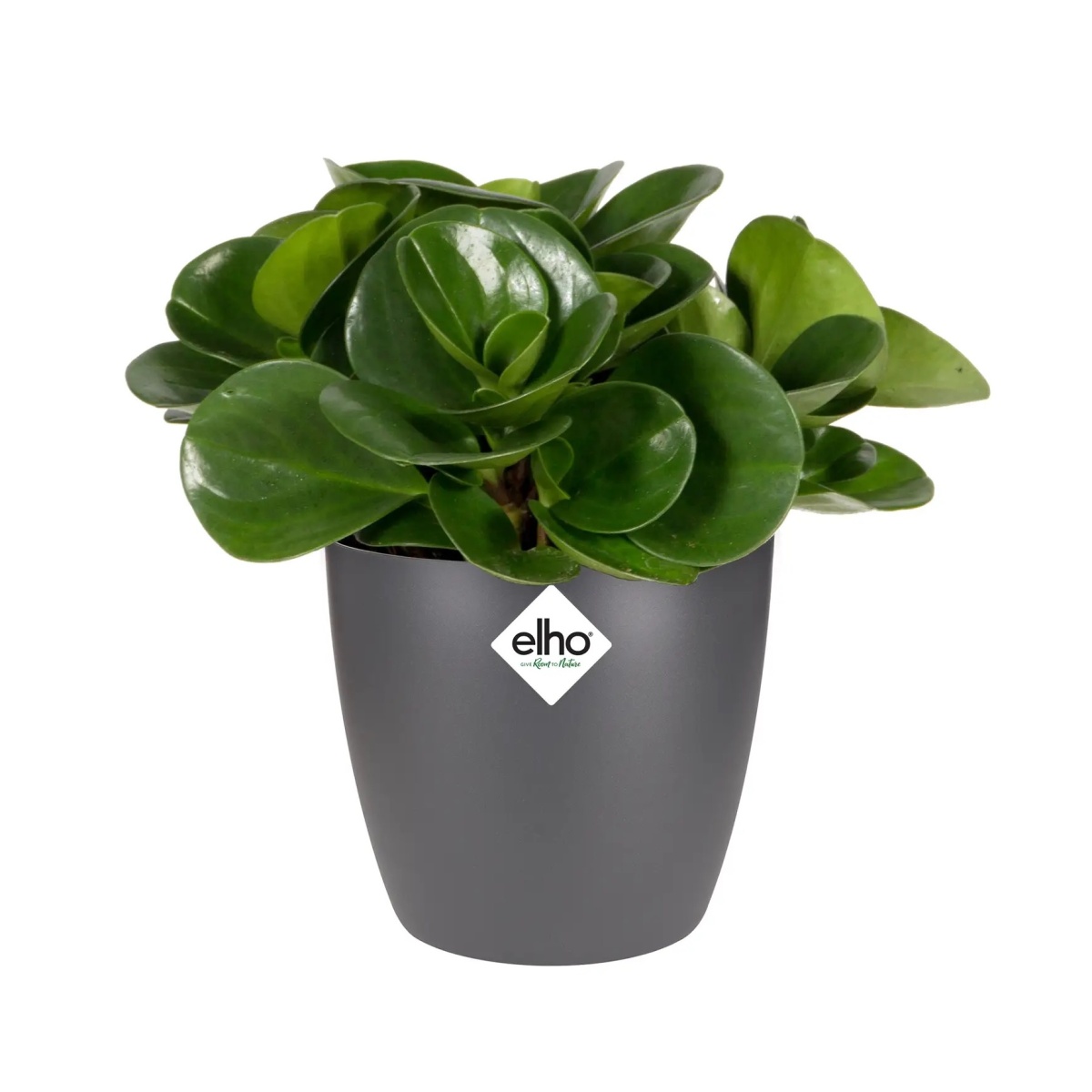 Obal na květináč Elho Brussels Classic antracitový 18cm-0