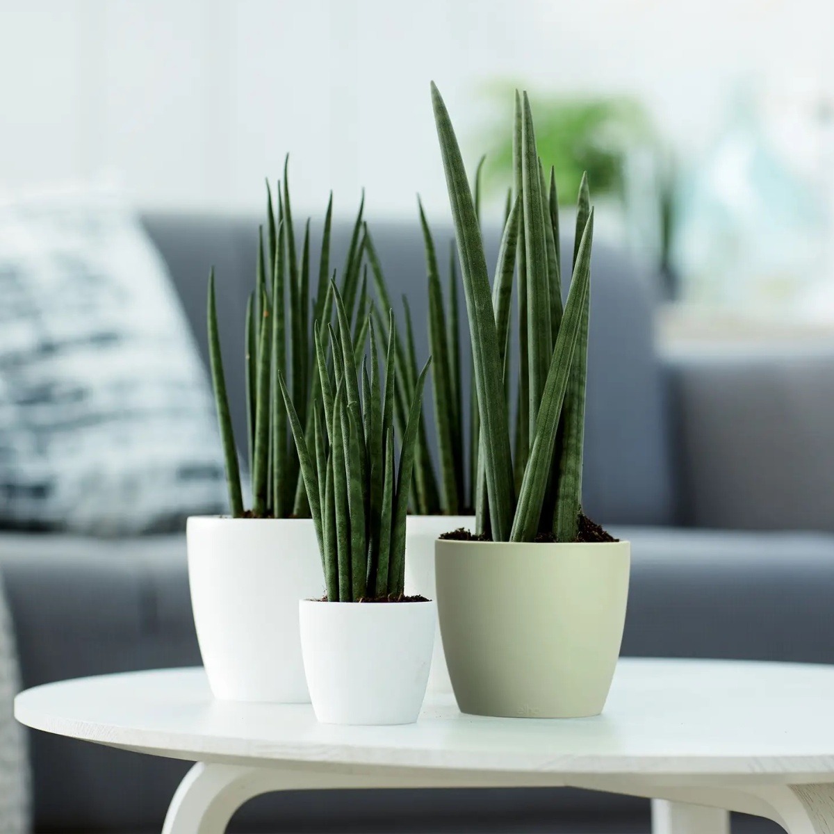 Obal na květináč Elho Brussels Classic sv.zelený 18cm-0