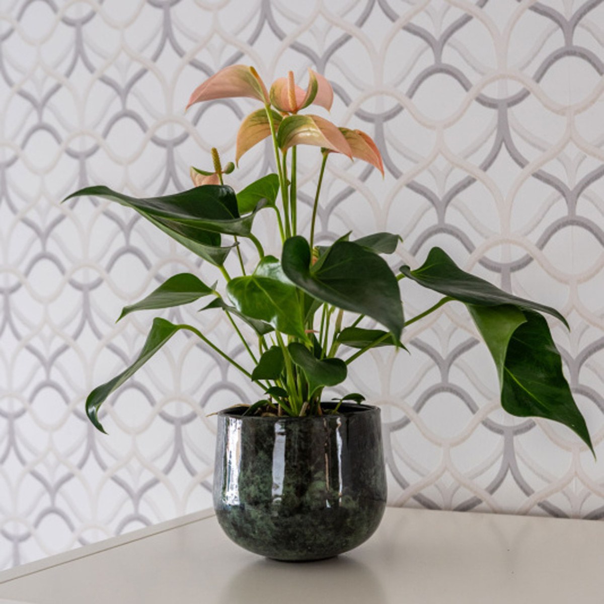 Obal na květináč EMMIE kovový zelený 15cm-0