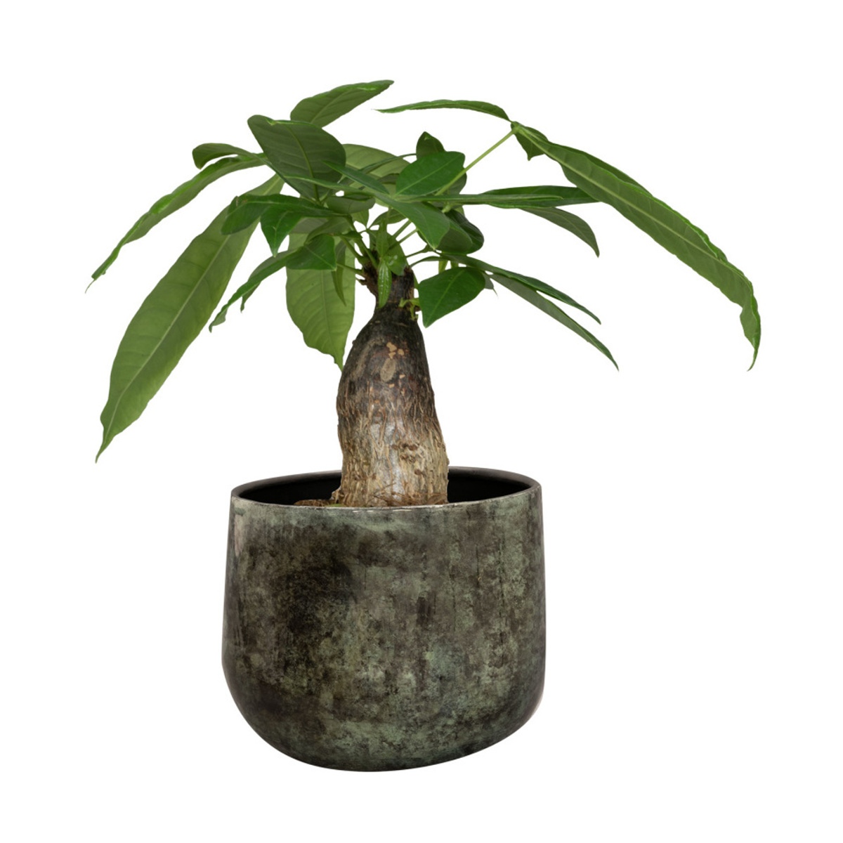 Obal na květináč EMMIE kovový zelený 15cm-1